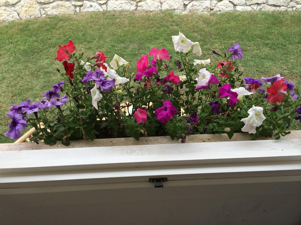 Alacati Roka Hotel Alacatı Ruang foto
