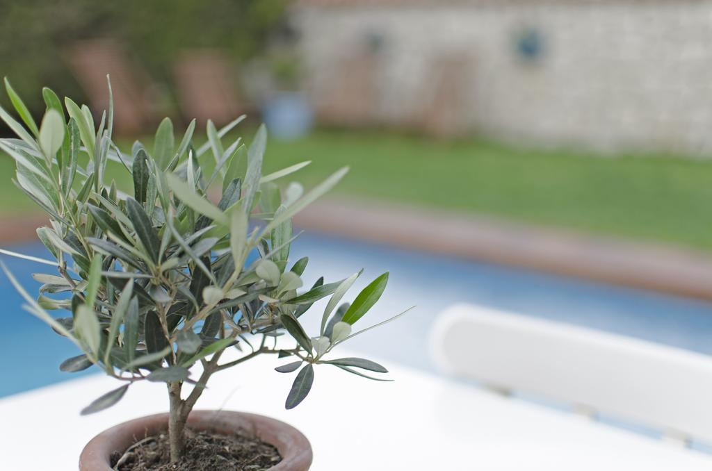 Alacati Roka Hotel Alacatı Bagian luar foto